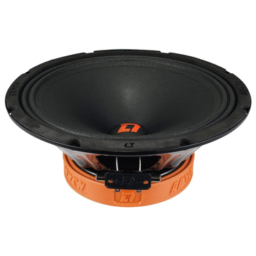 DL Audio Raven 250 V.2